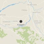 Three BJP members killed in suspected militant attack in Kulgam