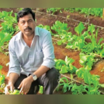 एक बातमी वाचली अन् नोकरी सोडून शेती केली, आता करतोय