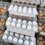 ताज्या आणि शिळ्या अंड्यातील फरक कसा ओळखाल? वाचा सरकारने सांगीतलेली
