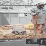 पति की माैत के बाद पत्नी ने जारी रखा अवैध