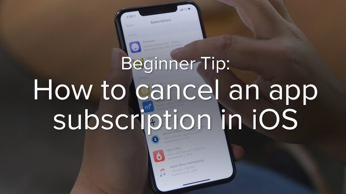 Guide on how to cancel subscriptions on iPhone.