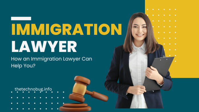 How an Immigration Lawyer Can Help You