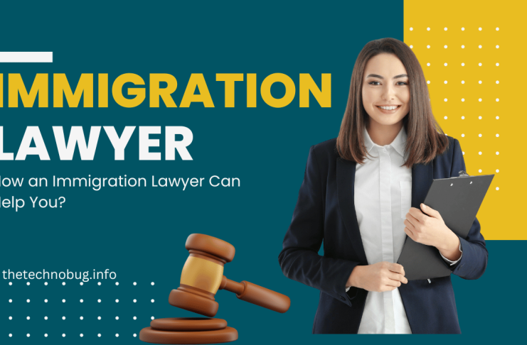 How an Immigration Lawyer Can Help You