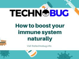 immune system