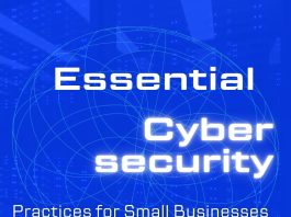 Cybersecurity Practices for Small Businesses