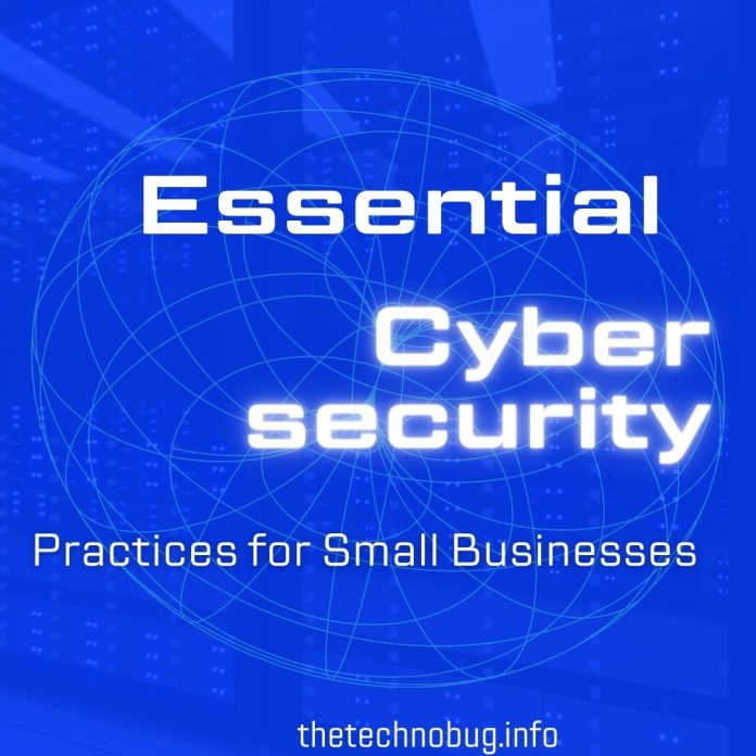 Cybersecurity Practices for Small Businesses