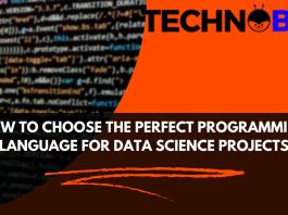 Perfect Programming Language for Data Science Projects