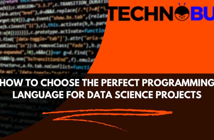 Perfect Programming Language for Data Science Projects