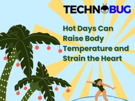Hot Days Can Raise Body Temperature and Strain the Heart Hot Days Can Raise Body Temperature and Strain the Heart